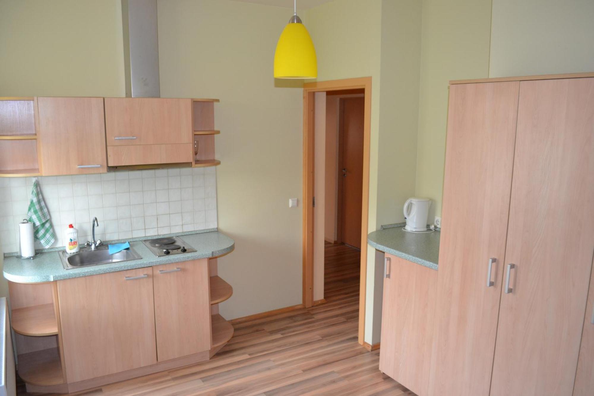 Vila Evelina Druskininkai Buitenkant foto